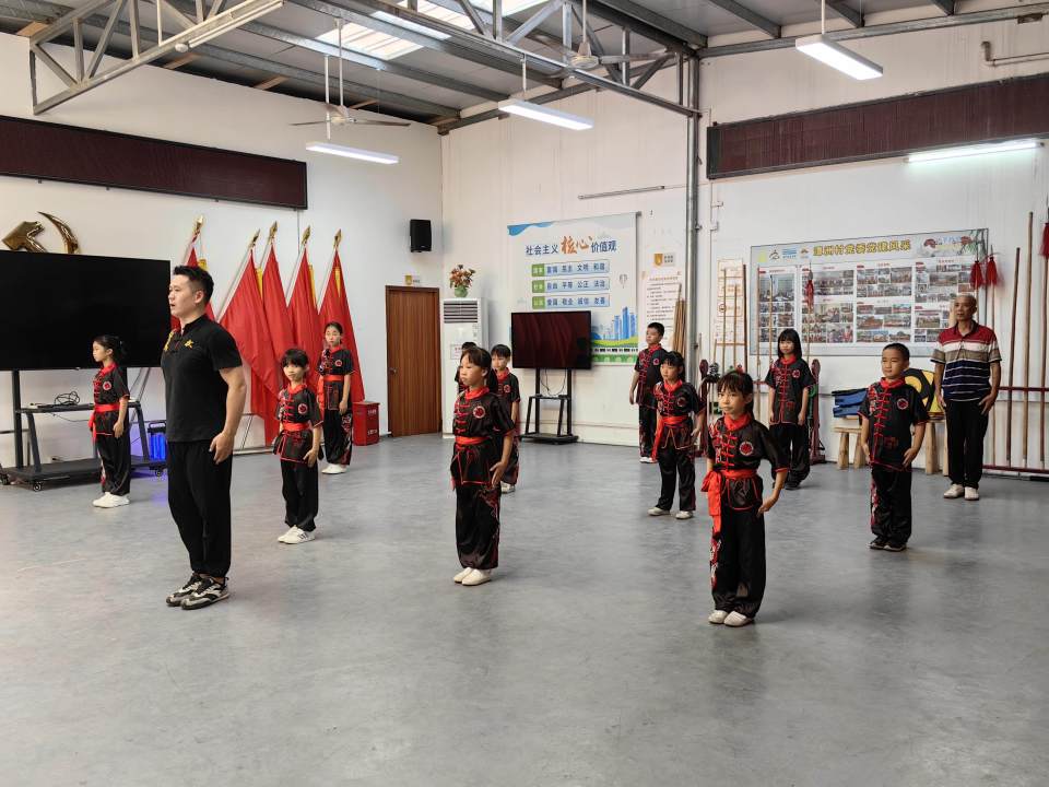 视频, 人身量的武, 洲村侠家拳