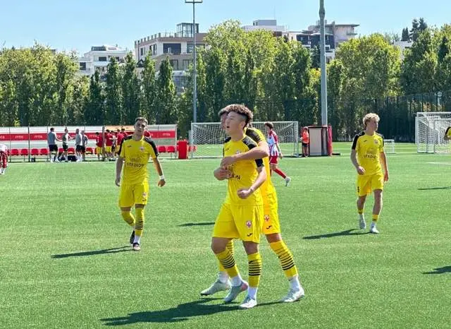 岁中国前锋, yid 岁中国前锋, yid
