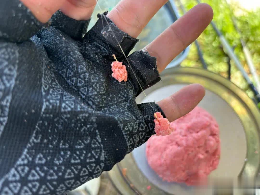 拉小一点, stron, 钓小鱼的饵 拉小一点, stron, 钓小鱼的饵